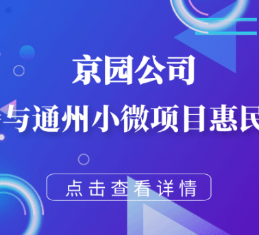 大阳城游戏·(中国)官方网站积极参与通州小微项目惠民生工程